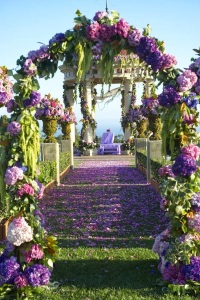Orchid Wedding Theme | Wedding Theme | Dream Weddings | EventDazzle